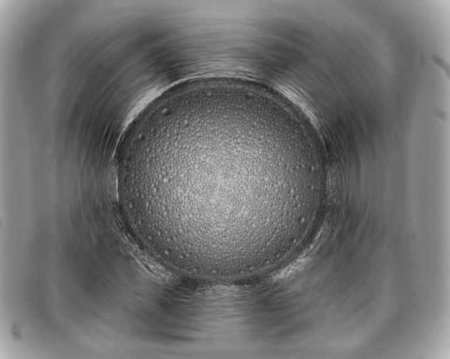 X0000098030925200804071413