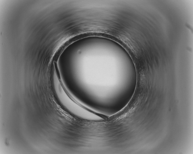 X0000098030926200804071413