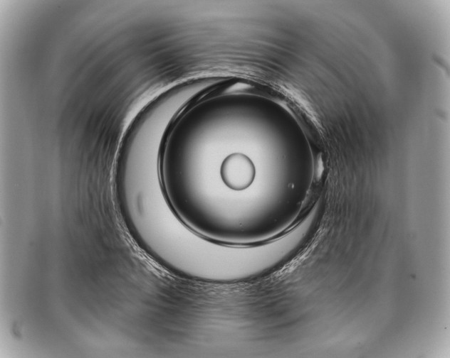 X0000098030928200804071413