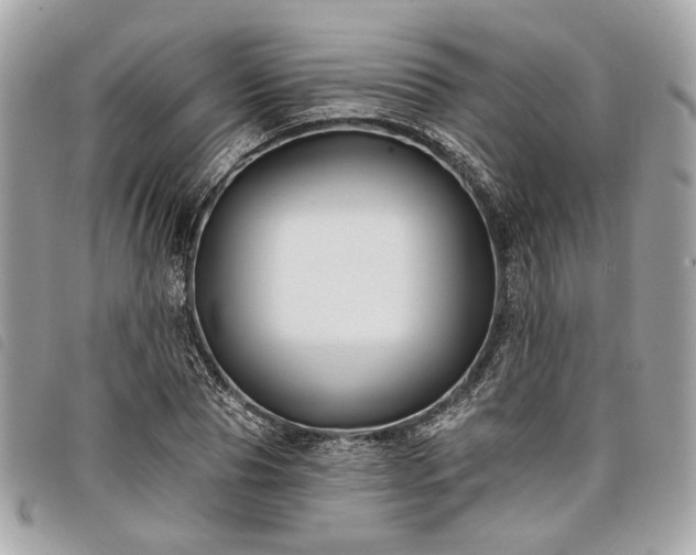 X0000098030929200804071413