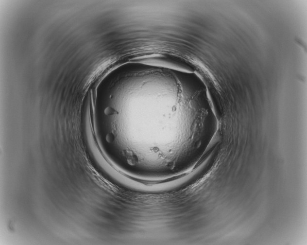 X0000098030930200804071413