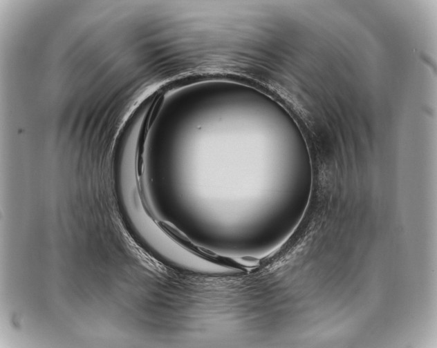 X0000098030934200804071413