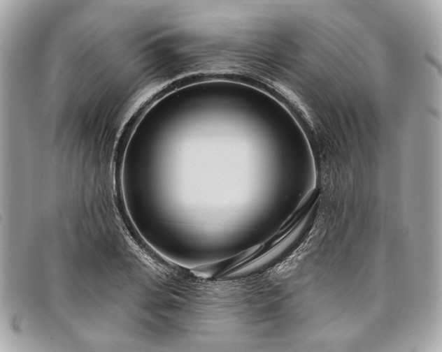 X0000098030935200804071413