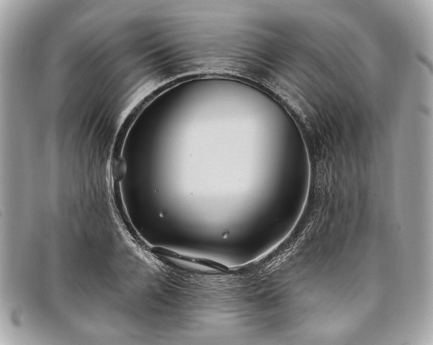 X0000098030936200804071413