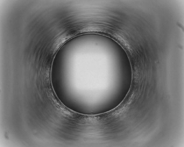 X0000098030937200804071413