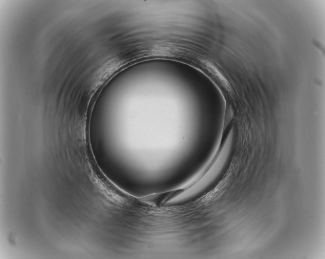 X0000098030938200804071413