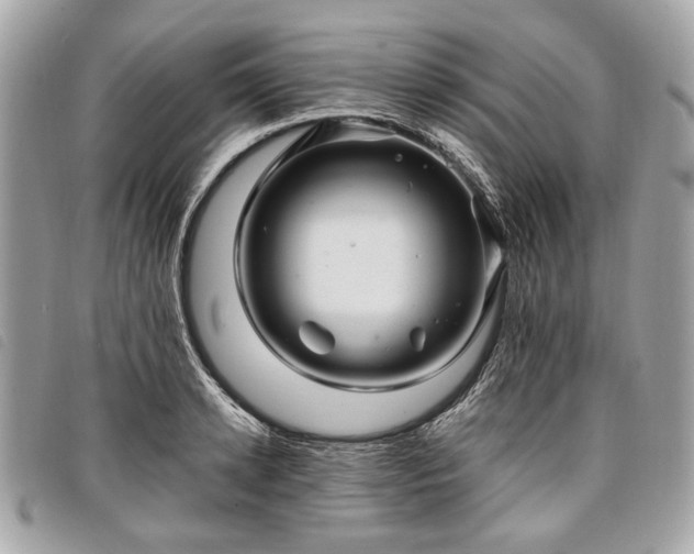 X0000098030942200804071413