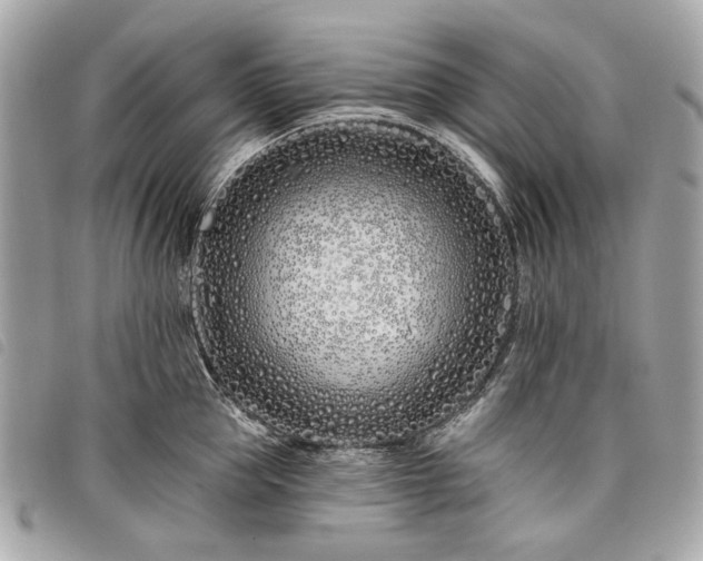 X0000098030953200804071413