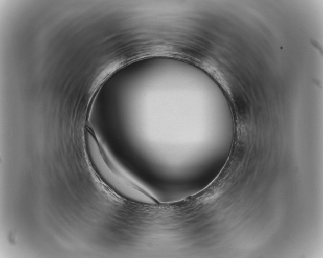 X0000098030954200804071413