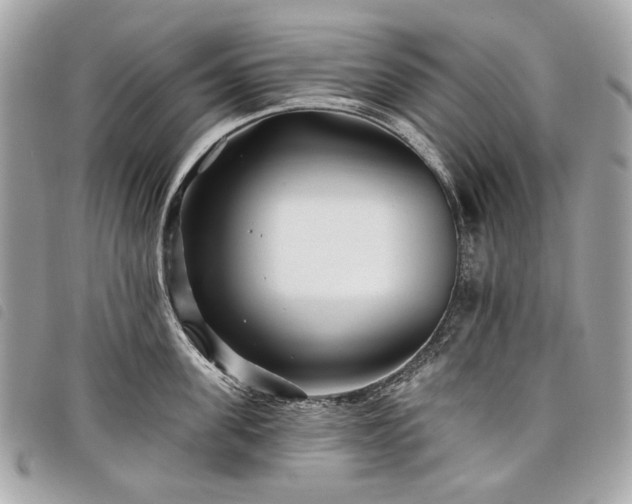 X0000098030955200804071413