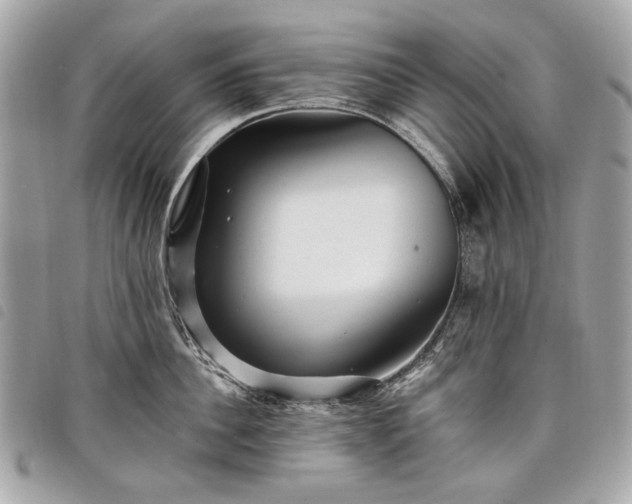 X0000098030956200804071413