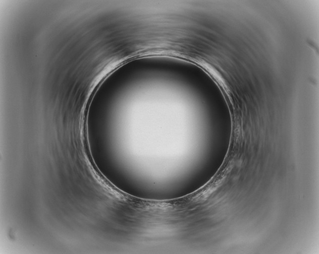 X0000098030957200804071413