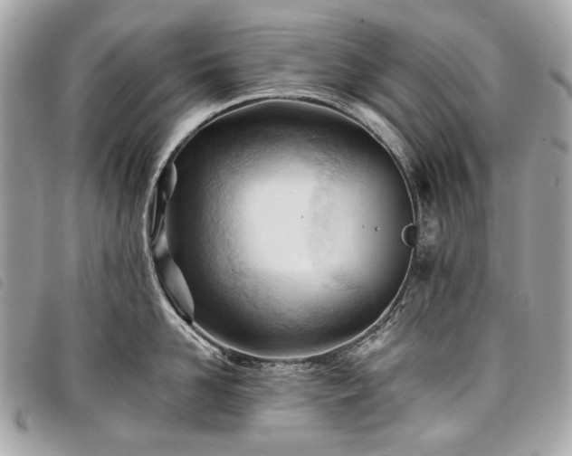 X0000098030958200804071413