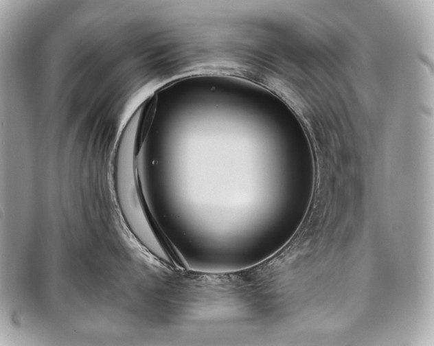 X0000098030960200804071414