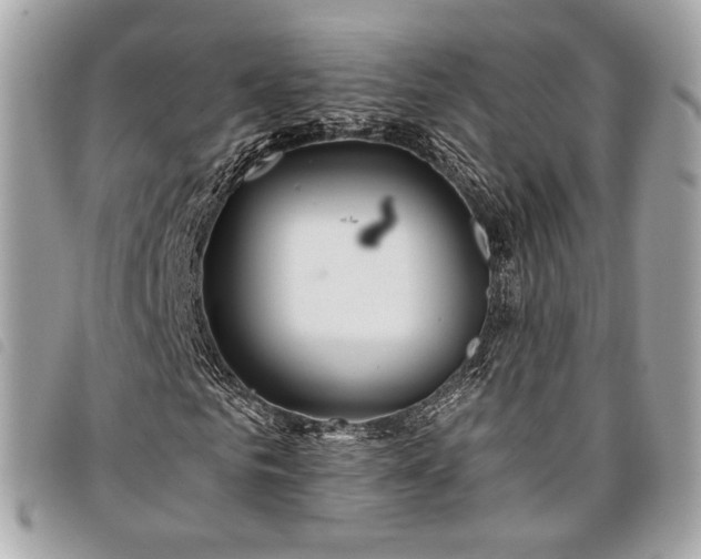 X0000098030961200804071413