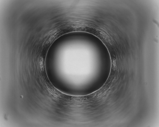 X0000098030963200804071413