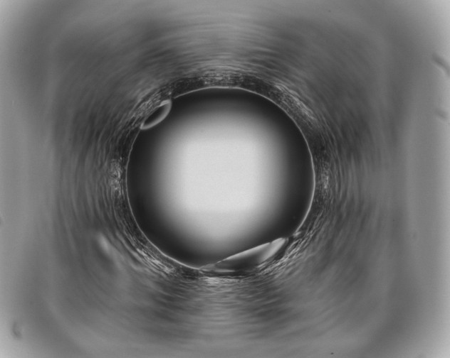 X0000098030964200804071413