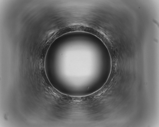 X0000098030965200804071413