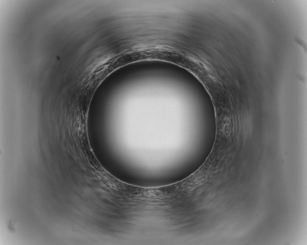 X0000098030966200804071413