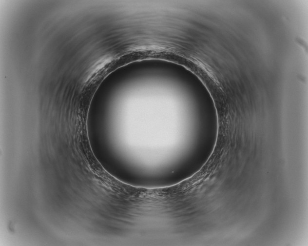 X0000098030967200804071413