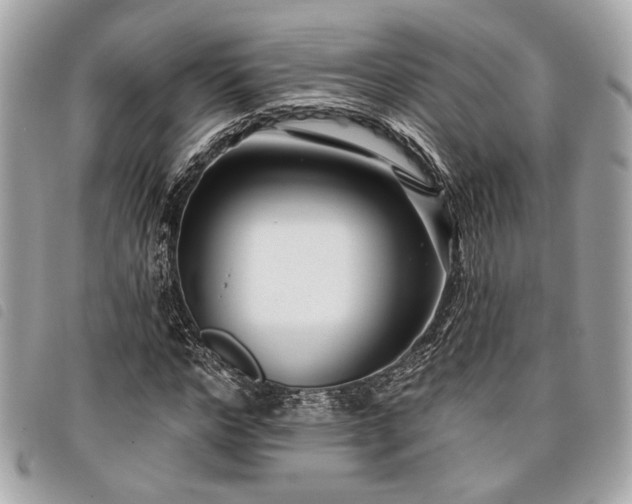 X0000098030968200804071413