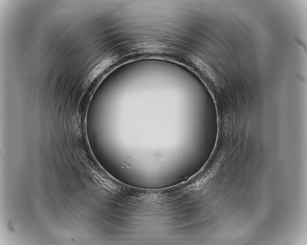 X0000098030970200804071413