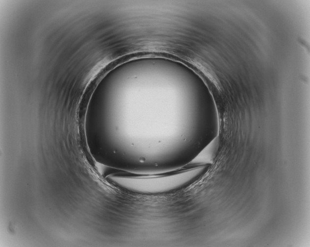 X0000098030972200804071413