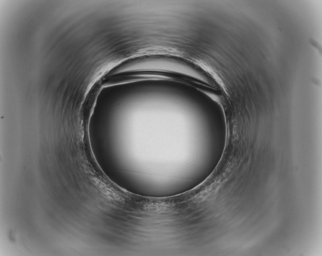 X0000098030973200804071413