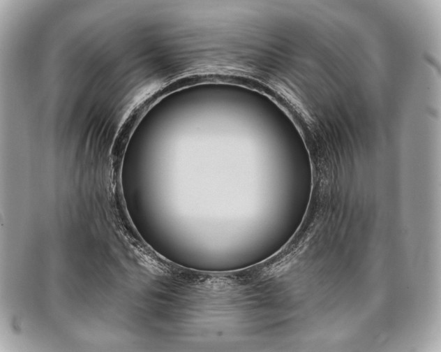 X0000098030974200804071413