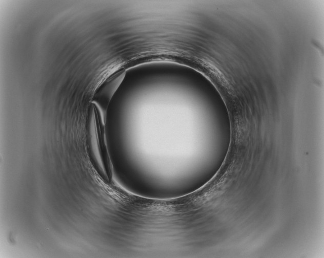 X0000098030977200804071413