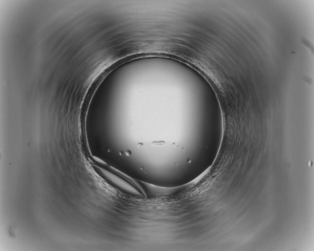 X0000098030980200804071413