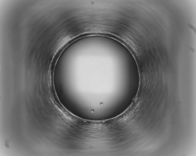 X0000098030982200804071413