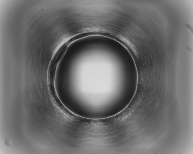 X0000098030983200804071413