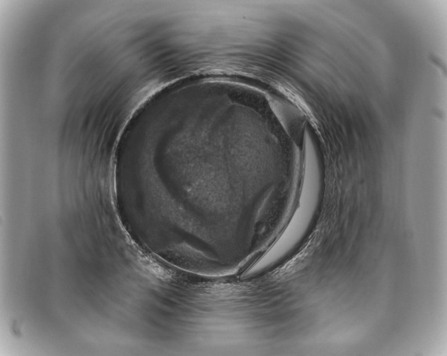 X0000098030984200804071413