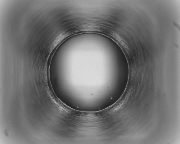 X0000098030986200804071412