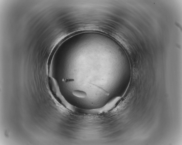 X0000098030988200804071412