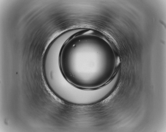 X0000098030989200804071412