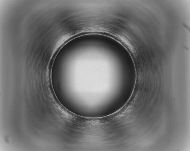 X0000098030990200804071412