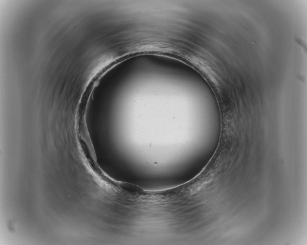 X0000098030991200804071412