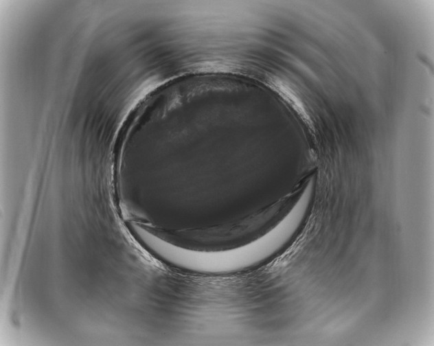 X0000098030992200804071412