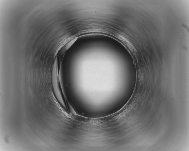 X0000098030993200804071412