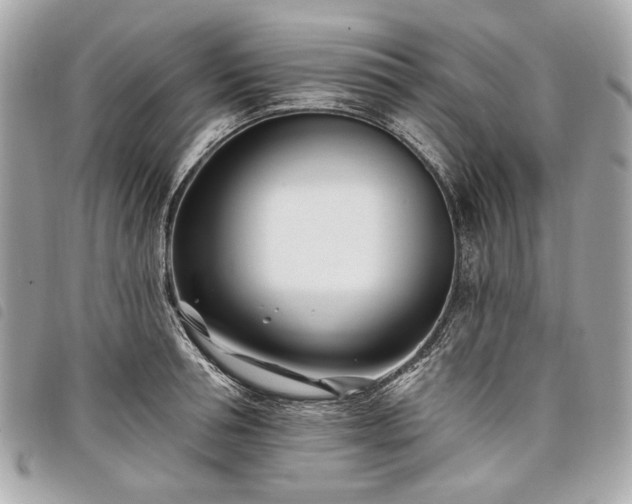 X0000098030994200804071412