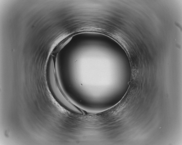 X0000098030995200804071412