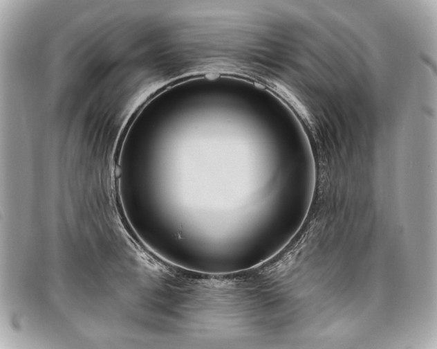 X0000098030996200804071412