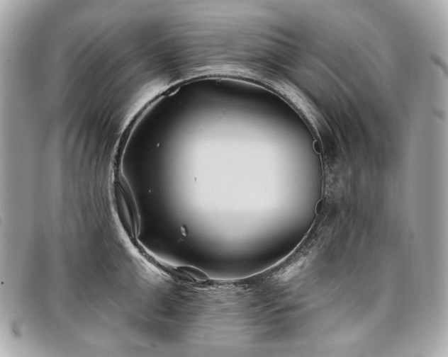 X0000098030999200804071412