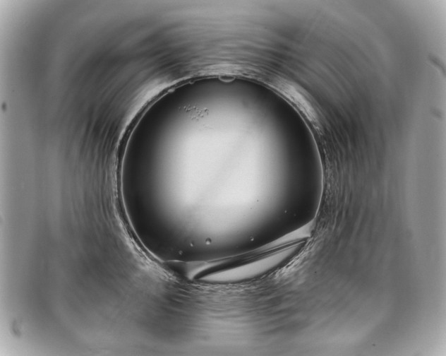 X0000098031000200804071412