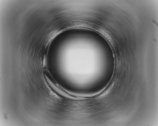 X0000098031001200804071412