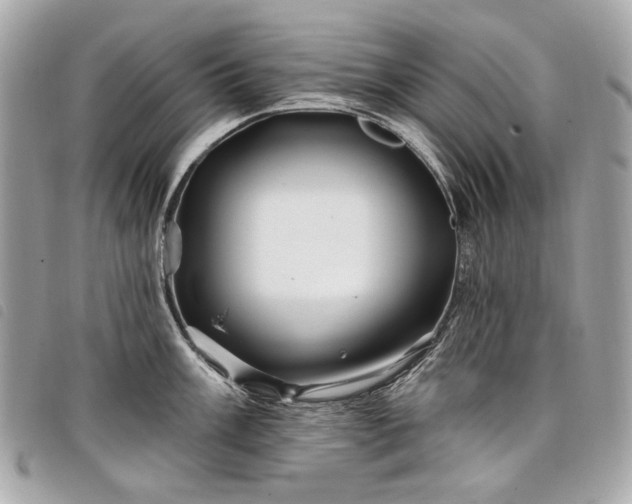 X0000098031003200804071412