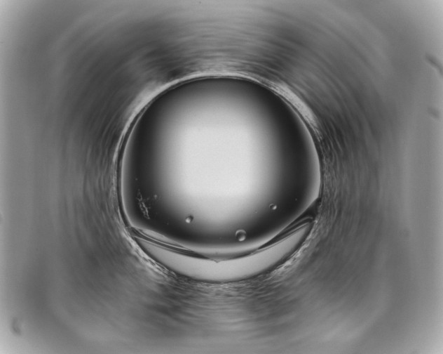 X0000098031004200804071412