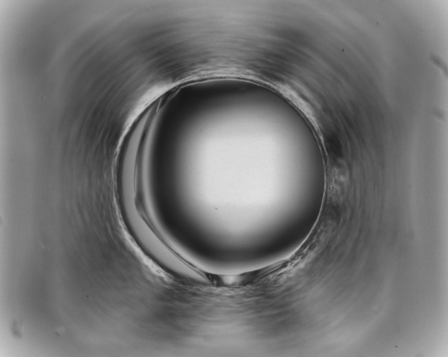 X0000098031005200804071412